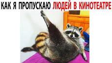 Приколы с Енотами  Подборка мемов с Животными как ​ @Max Maximov #shorts - Videoclip.bg