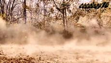 Πάολα Φωκά - Αινίγματα - загадки - Videoclip.bg