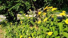 Я СКАЖУ СВОЕЙ ПЕЧАЛИ - ПРОЩАЙ - Videoclip.bg