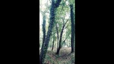 Nature - Videoclip.bg