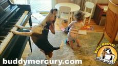 THE MOST AMAZING AND HYSTERICAL VIDEO ON THE INTERNET!!!! Feat. Buddy Mercury Dog and Lil Sis! - Videoclip.bg
