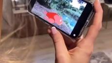 Кечи и Българ - реакция на Морунов - Videoclip.bg