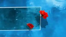 Pooh - Storia di una lacrima -  С BG субтитри - Videoclip.bg