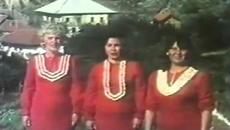 „Болен лежи Катил Ѓорѓи“ – Борче Крстевски - Videoclip.bg