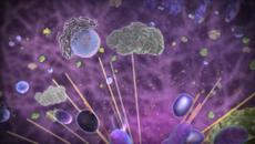 Molecular Machines - ATP Synthase The power plant of the cell - Videoclip.bg