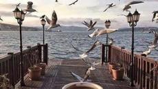 ДОБРО УТРО С УСМИВКА ПРИЯТЕЛИ - Videoclip.bg