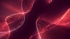 Kirk Fletcher - Blues for Anyone - Videoclip.bg