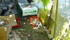 Пиленца се страхуват от топката - Videoclip.bg