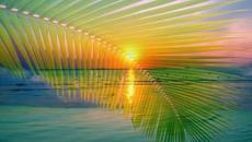 ~*~ Песента на водата ...  (WIESLAWA DUDKOWIAK music) ~*~ - Videoclip.bg