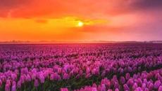 ЧЕСТИТ РОЖДЕН ДЕН ДАНИ БЪДИ ЩАСТЛИВА - Videoclip.bg