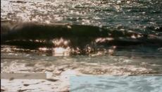 Fred & The Healers - Green Wave - Videoclip.bg