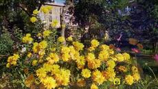 Доброе Утро! С 1 АВГУСТА ! Будь ЗДОРОВ, БОГАТ и ВЕСЕЛ ! - Videoclip.bg