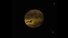 В Сянката на луната... Blackmore's Night - Shadow Of The Moon - Videoclip.bg