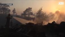 Гърция, Италия и Турция горят - редица държави изпращат самолети на помощ - Videoclip.bg