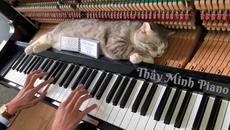 Пиано буги вуги масаж за мял - Videoclip.bg