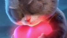 Влюбено котенце ! - Videoclip.bg