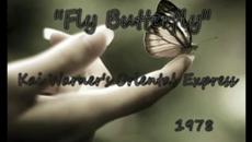 Kai Warner's Oriental Express - Fly Butterfly - Videoclip.bg