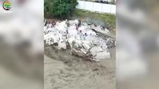 Кошмарный Потоп в Турции | Природа уничтожает Турцию Наводнениями и Пожарами # Катаклизмы сегодня - Videoclip.bg