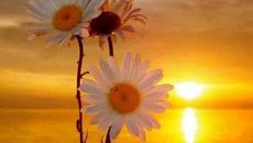 Within Temptation - Destroyed - Videoclip.bg