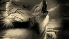 Ly  O  Lay Ale Loya (Circle Dance) ~ Native Song - Videoclip.bg