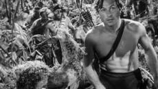 Janos Koos--Tarzan[1983] - Videoclip.bg