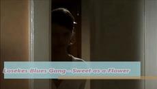 Lоsekes Blues Gang - Sweet as a Flower - BG субтитри - Videoclip.bg