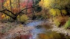 Dimitris Mitropanos - Thes  ·٠•╰⊱♡⊱╮ ♛ ( Bulgarian translation ) ¸.•*´¨♛ ПРЕВОД - Videoclip.bg