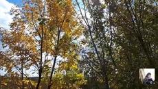 Золотая осень.Красивые видео и фото про осень. - Videoclip.bg