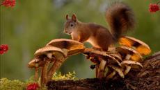 Александр Суханов  -  Вот и лето прошло - Videoclip.bg