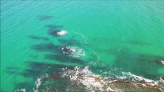 Joel Hirsch Jennifer Rene - Won Me Over Extended Mix Asot 798 - Videoclip.bg