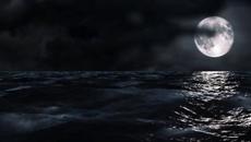 Arksi - Sad viola - Videoclip.bg