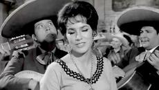 „Para todo el año“ – Palmira Arzubide - Videoclip.bg