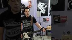 Bangles - "Walk like an Egyptian" (Bass cover) - Videoclip.bg