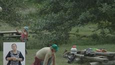 Правила за защита при горски пожари!!! Овладяха големия пожар край Кирково - Videoclip.bg