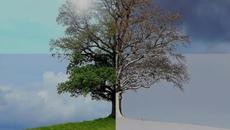 Силвия Кацарова и LZ - След лятото - Videoclip.bg