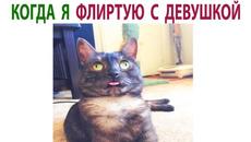 Новые Мемы 2021 Года. Дневная Порция Мемов за 12 Сентября - Videoclip.bg