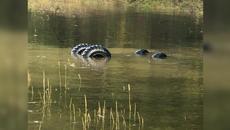 Фото, которые тебя удивят (40 часть) - Videoclip.bg