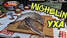 СЕКРЕТ КРИСТАЛЬНОЙ УХИ. УХА ЦАРСКАЯ СЛЕЗА в КАЗАНЕ. готовит Липован - Videoclip.bg