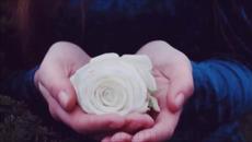 Тони Димитрова - Шепа пепел, две сълзи... от любов - Videoclip.bg