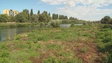 Внимание опасност за Пловдив!!! Опасност от наводнения в Пловдив заради непочистеното корито на река Марица - Videoclip.bg