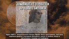 Halloween Хелоуин - Безумни и зловещи празници ♛ Реални и ужасяващи истории за Хелоуин!!! - Videoclip.bg