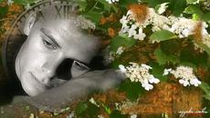 ПРОЙДУТ ГОДА! ПЕСНЯ ОЧЕНЬ ЖИЗНЕННАЯ! Послушайте !!! - Videoclip.bg