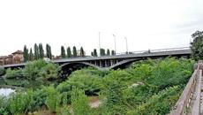 Днес 1 ноември 2021 г. почистват река Марица в Пловдив от дървета и храсти - Videoclip.bg