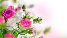 Безумно Вдохновляющая и Бесконечно Красивая Музыка для души - Videoclip.bg