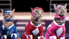 Mighty Morphin Meower Rangers - Meowphin Time! - Episode 1 - Videoclip.bg