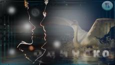 Сергей Пенкин   -   Две руки - две птицы. - Videoclip.bg