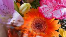 Честит рожден ден мила dorislava - Videoclip.bg