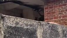 Funny video 2021 (2) - Videoclip.bg