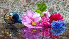 *** Природата ни е дарила много красота *** - Videoclip.bg