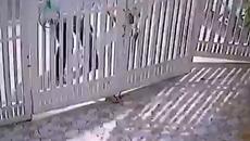 Смях с опити за кражби - Videoclip.bg